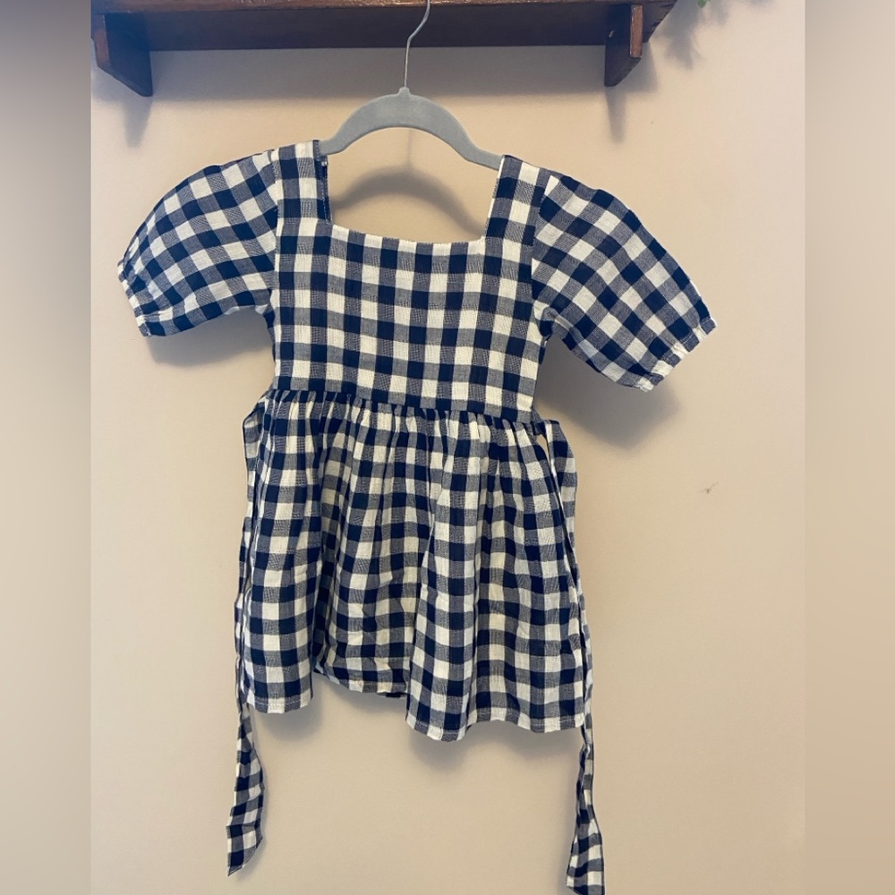Girls Little Cottonwood Gingham Dress - Blue and White